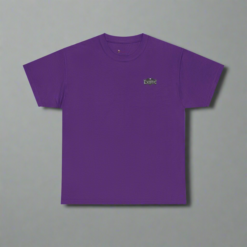 Graphic T-Shirt~pink,purple,grey and maroon