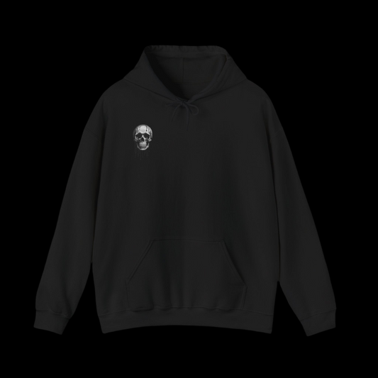 Graphic Hoodie ~ black or grey